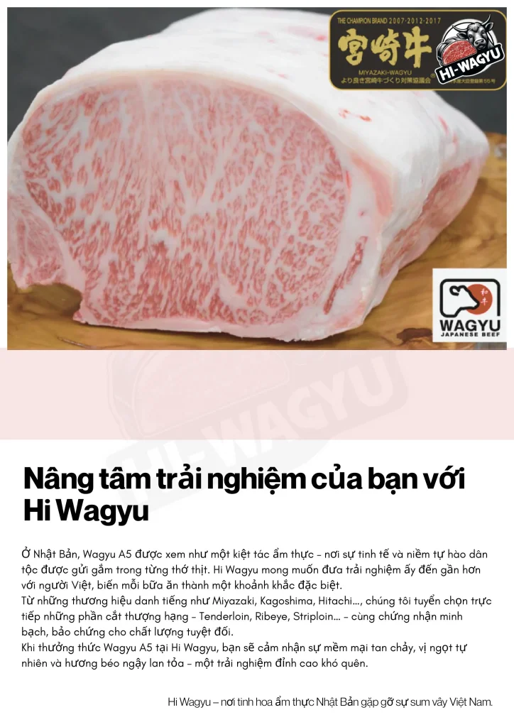 catalogue hi wagyu 2