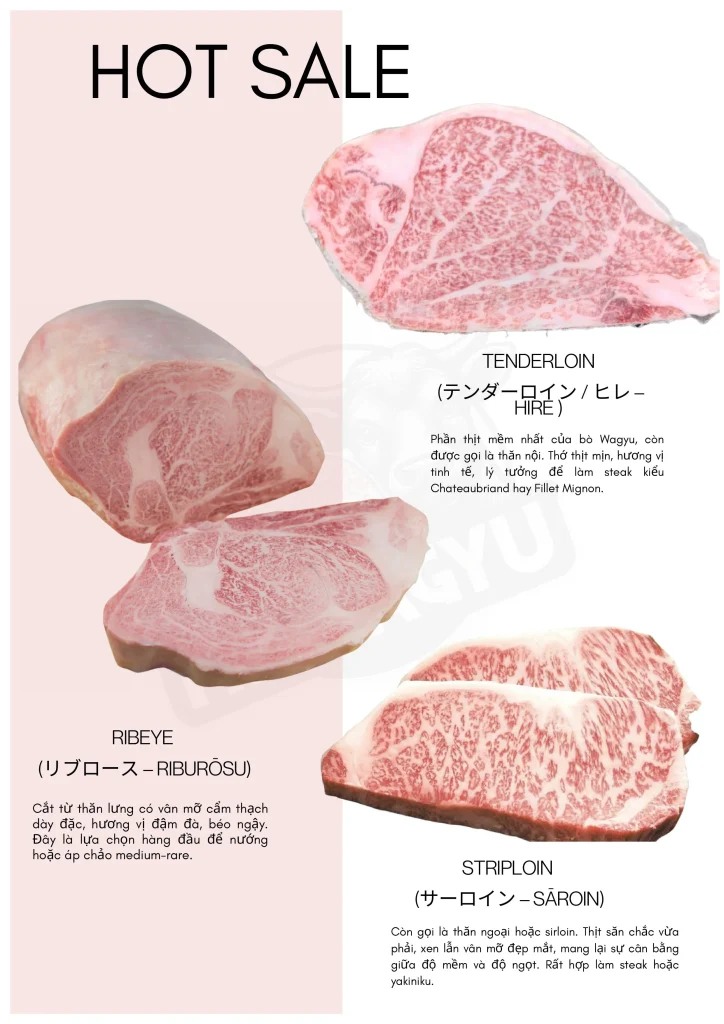 catalogue hi wagyu 3