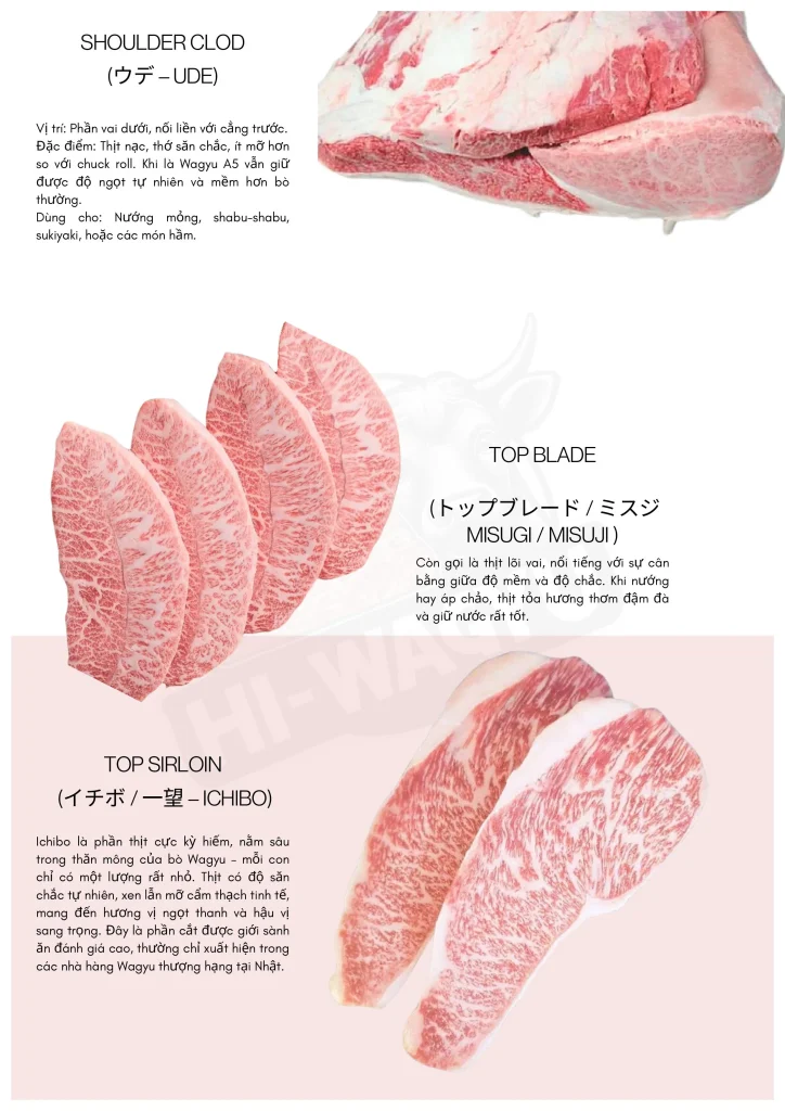 catalogue hi wagyu 5